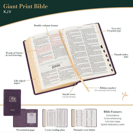 KJV Holy Bible, Giant Print Standard Size Faux Leather Red Letter Edition - Ribbon Marker, King James Version, Purple Floral (KJV Standard GP Editions)