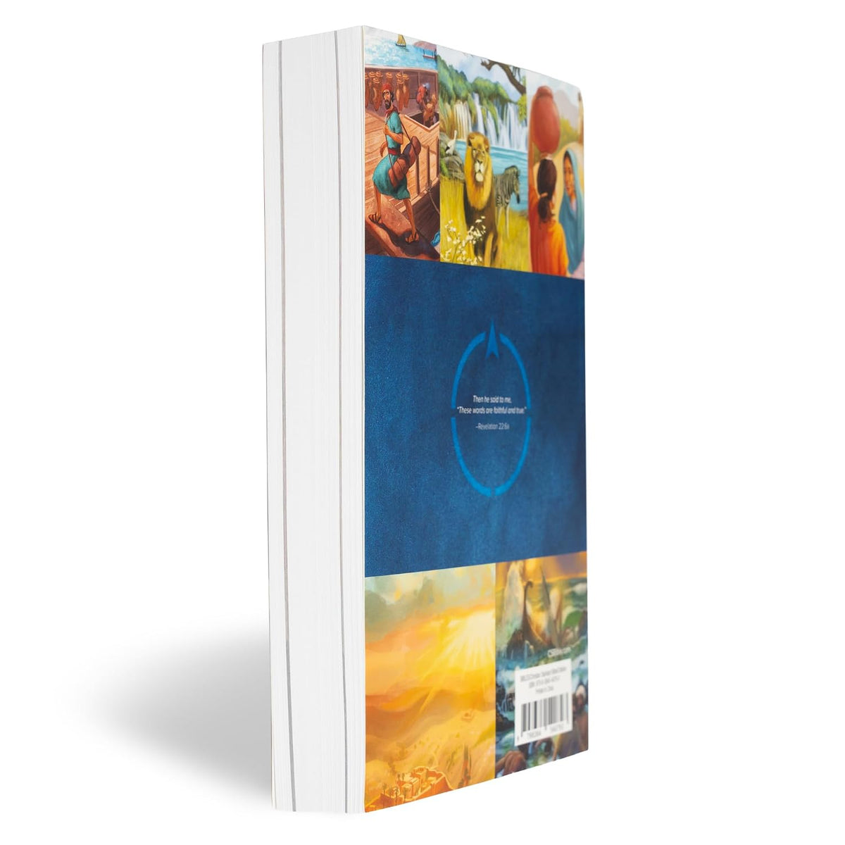 CSB Holy Bible for Kids, Large Print, Economy Edition, Black Letter, Presentation Page, Kid-friendly Gospel Presentation, Full-Color Inserts, Christ Connections, Easy-to-Read Bible Serif Type