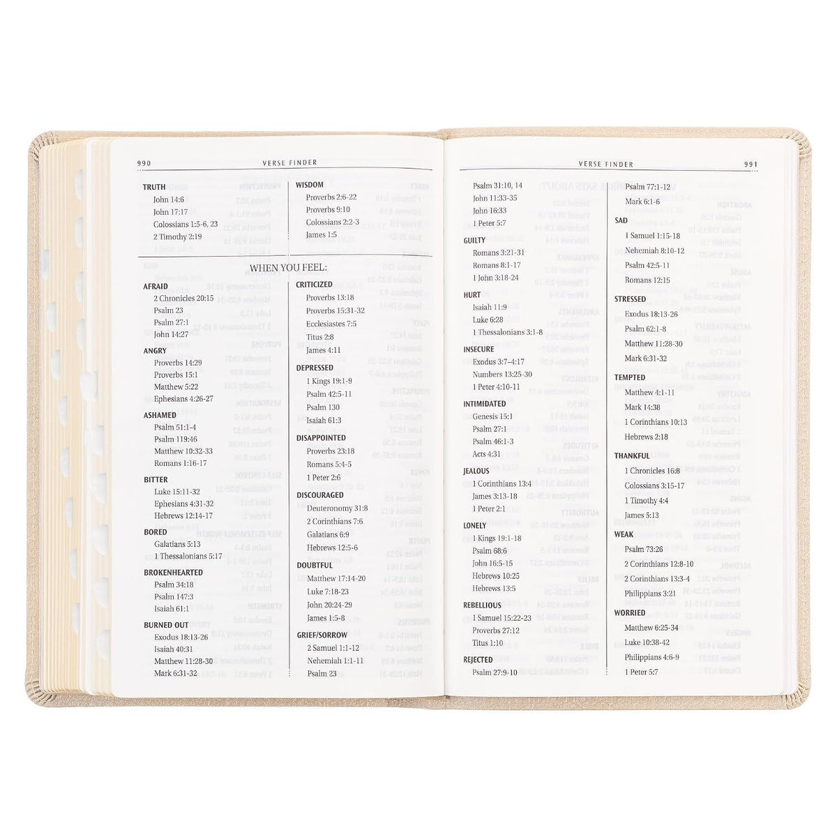 KJV Holy Bible, Standard Size Faux Leather Red Letter Edition Thumb Index, Ribbon Marker, King James Version, Pearlescent Taupe (KJV Deluxe Gift Editions)