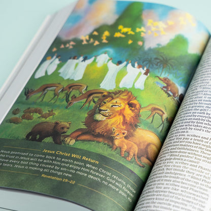 CSB Holy Bible for Kids, Large Print, Economy Edition, Black Letter, Presentation Page, Kid-friendly Gospel Presentation, Full-Color Inserts, Christ Connections, Easy-to-Read Bible Serif Type