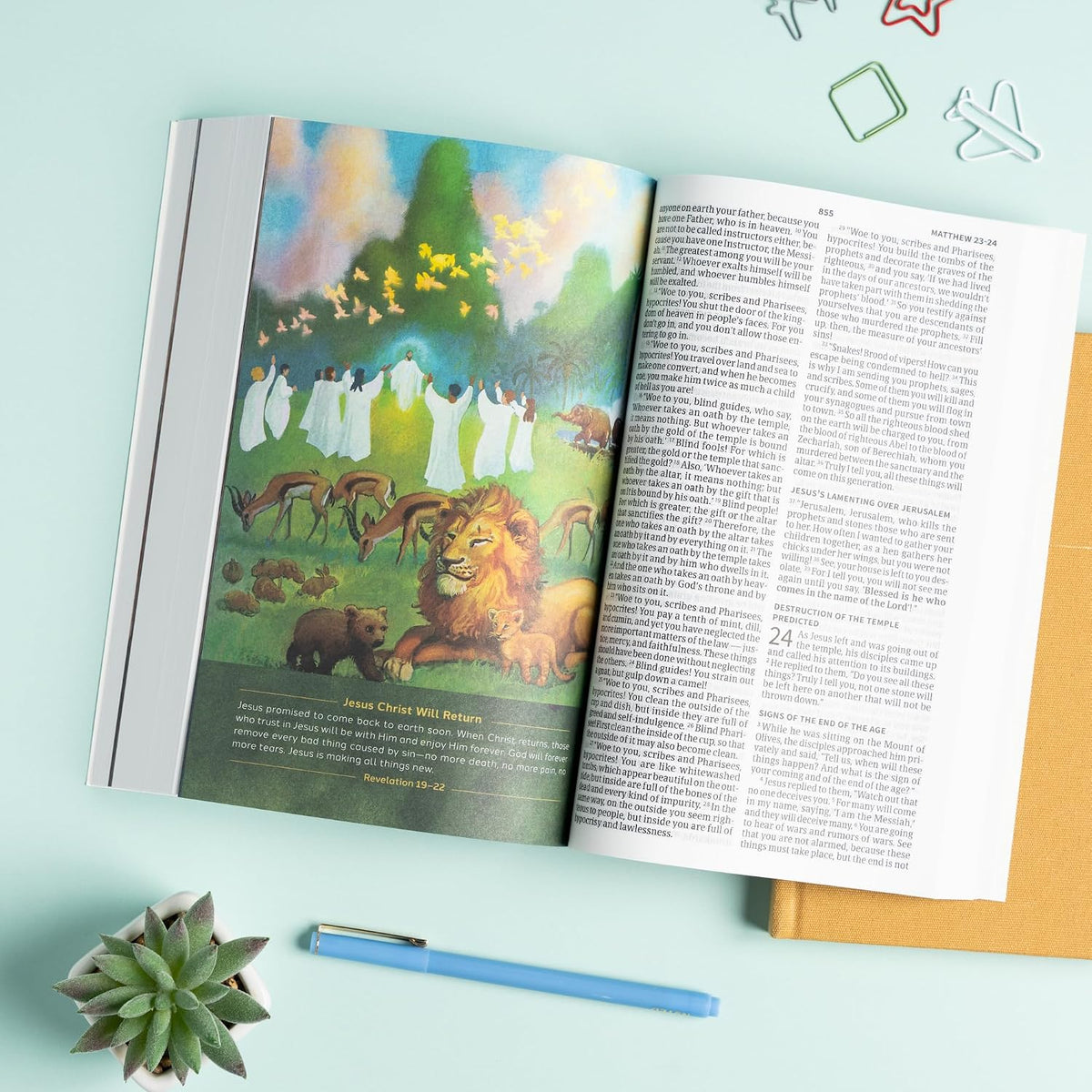 CSB Holy Bible for Kids, Large Print, Economy Edition, Black Letter, Presentation Page, Kid-friendly Gospel Presentation, Full-Color Inserts, Christ Connections, Easy-to-Read Bible Serif Type