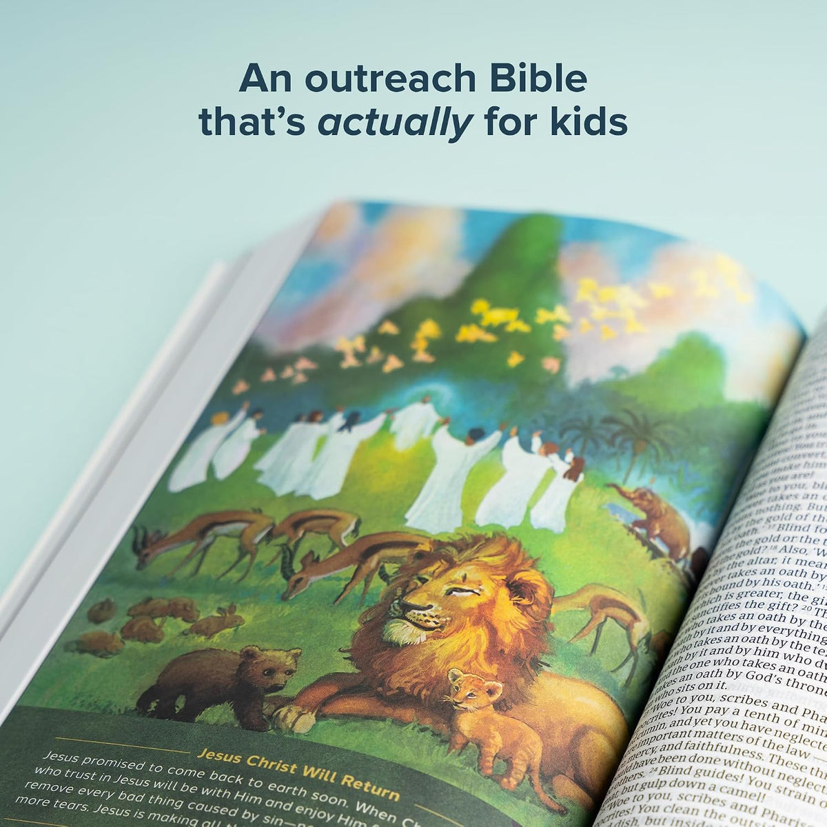 CSB Holy Bible for Kids, Large Print, Economy Edition, Black Letter, Presentation Page, Kid-friendly Gospel Presentation, Full-Color Inserts, Christ Connections, Easy-to-Read Bible Serif Type