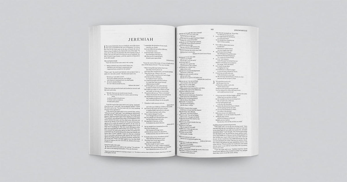 ESV Economy Bible (Paperback): Holy Bible, English Standard Version