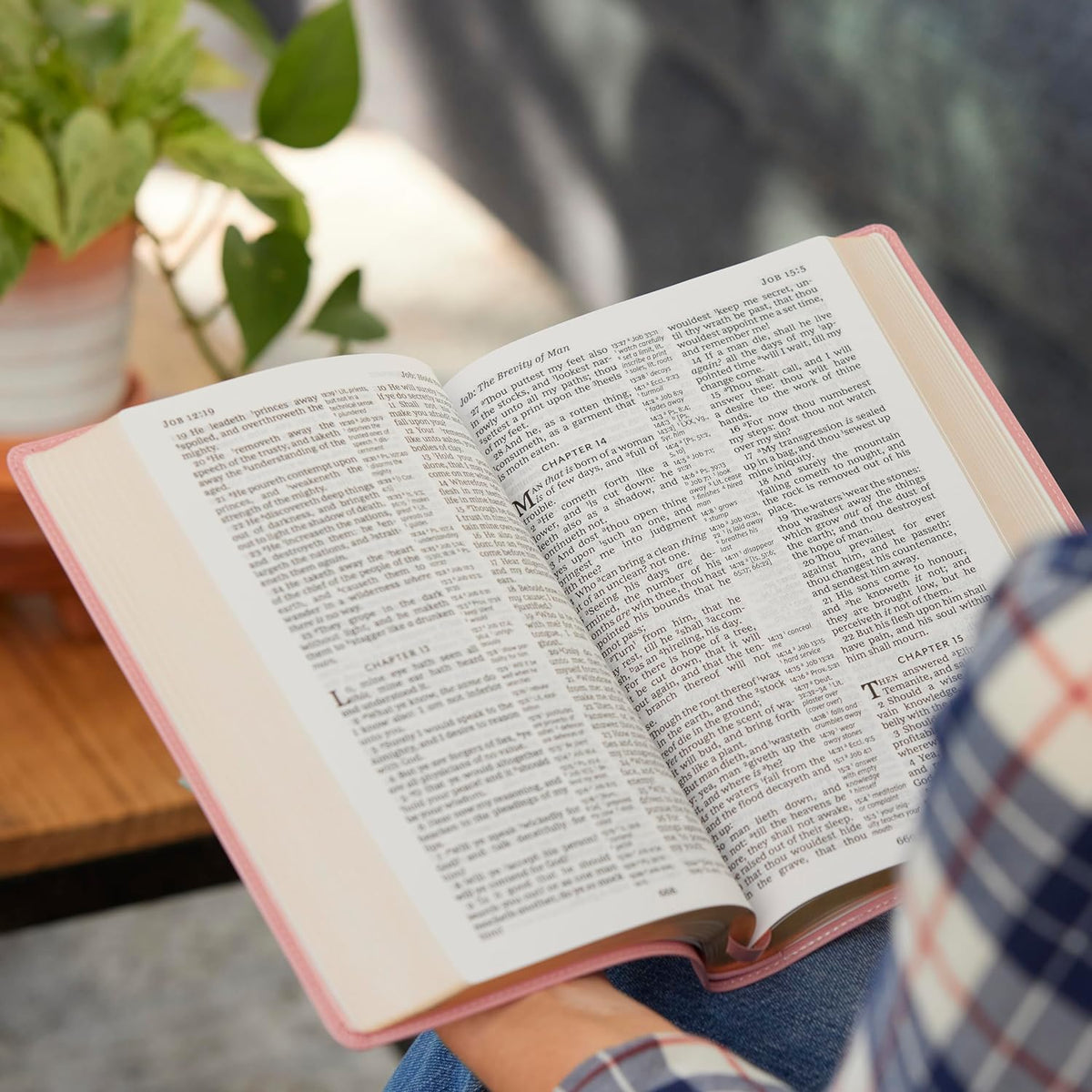 KJV Holy Bible: Large Print with 53,000 Center-Column Cross References, Pink Leathersoft, Red Letter, Comfort Print: King James Version