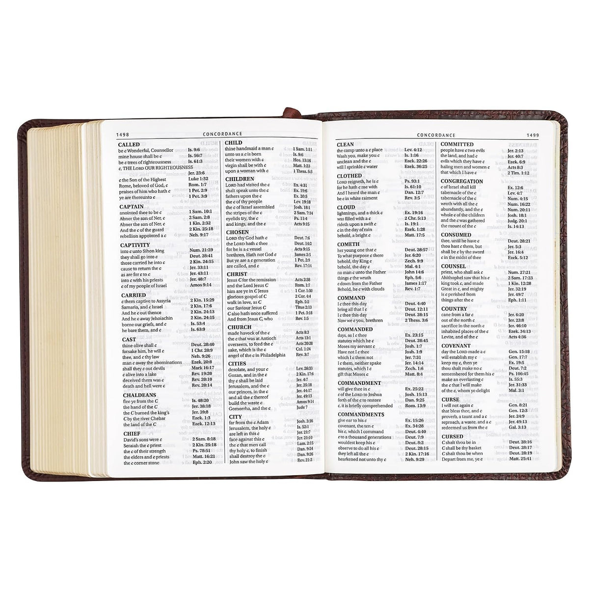 KJV Holy Bible, Compact Large Print Faux Leather Red Letter Edition - Ribbon Marker, King James Version, Medium Brown (KJV Compact LP Editions)