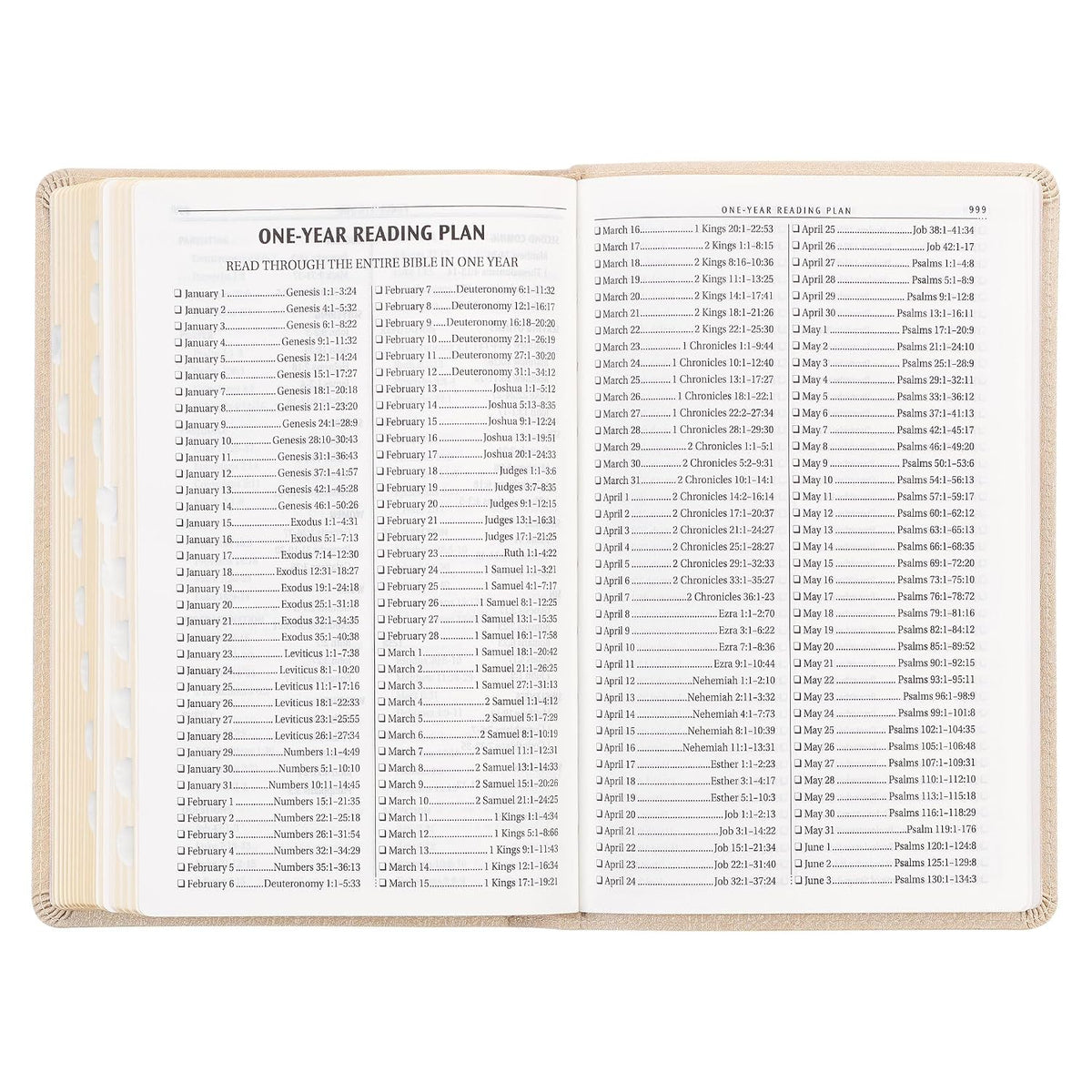 KJV Holy Bible, Standard Size Faux Leather Red Letter Edition Thumb Index, Ribbon Marker, King James Version, Pearlescent Taupe (KJV Deluxe Gift Editions)