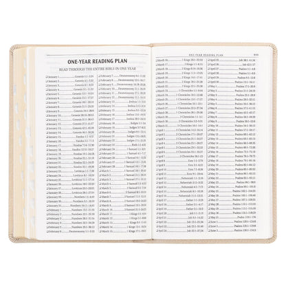 KJV Holy Bible, Standard Size Faux Leather Red Letter Edition Thumb Index, Ribbon Marker, King James Version, Pearlescent Taupe (KJV Deluxe Gift Editions)
