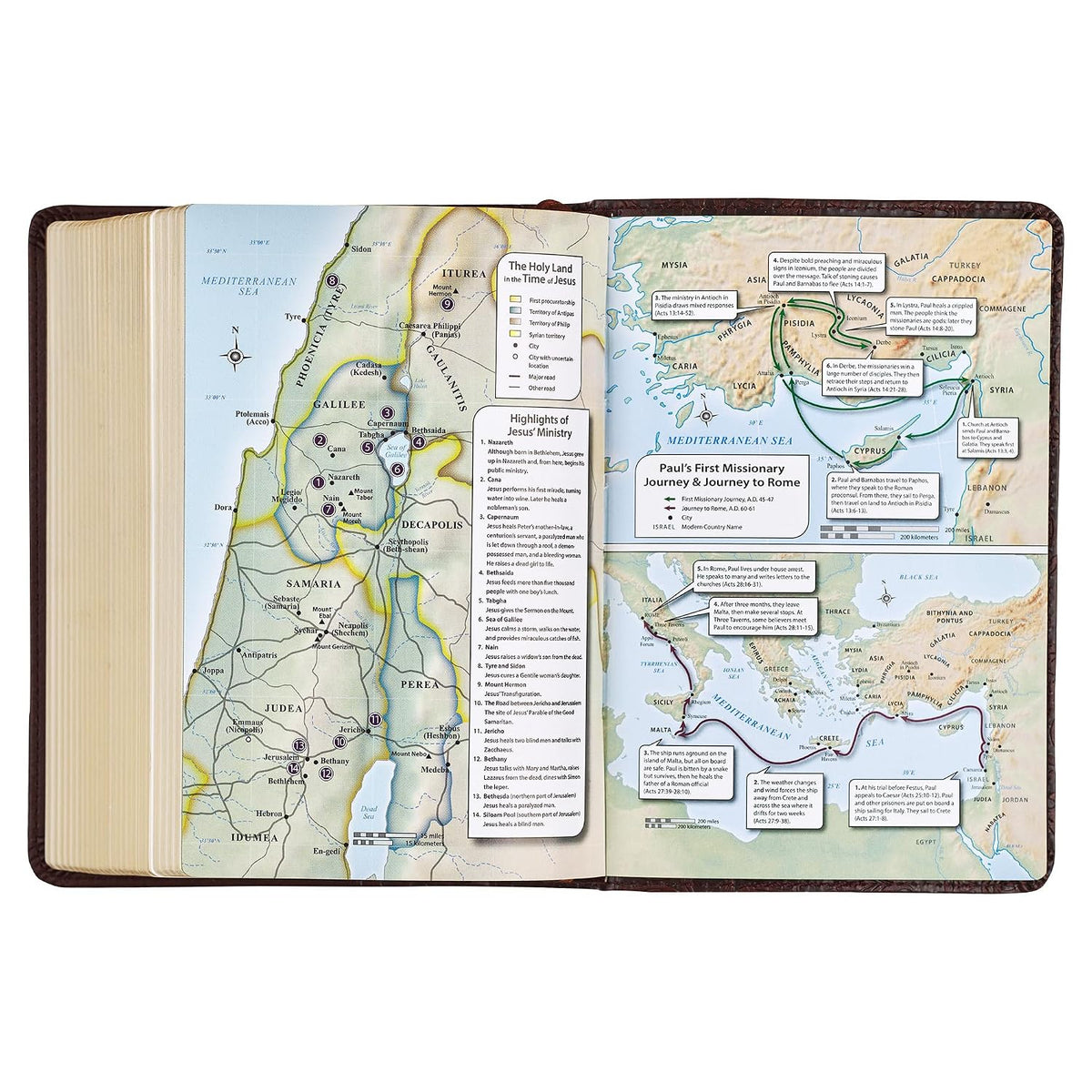 KJV Holy Bible, Compact Large Print Faux Leather Red Letter Edition - Ribbon Marker, King James Version, Medium Brown (KJV Compact LP Editions)