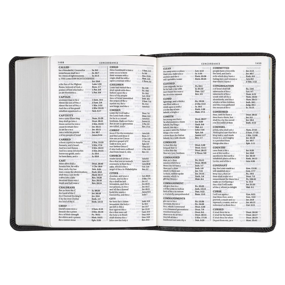 KJV Holy Bible, Compact Large Print Faux Leather Red Letter Edition - Ribbon Marker, King James Version, Black (KJV Compact LP Editions)