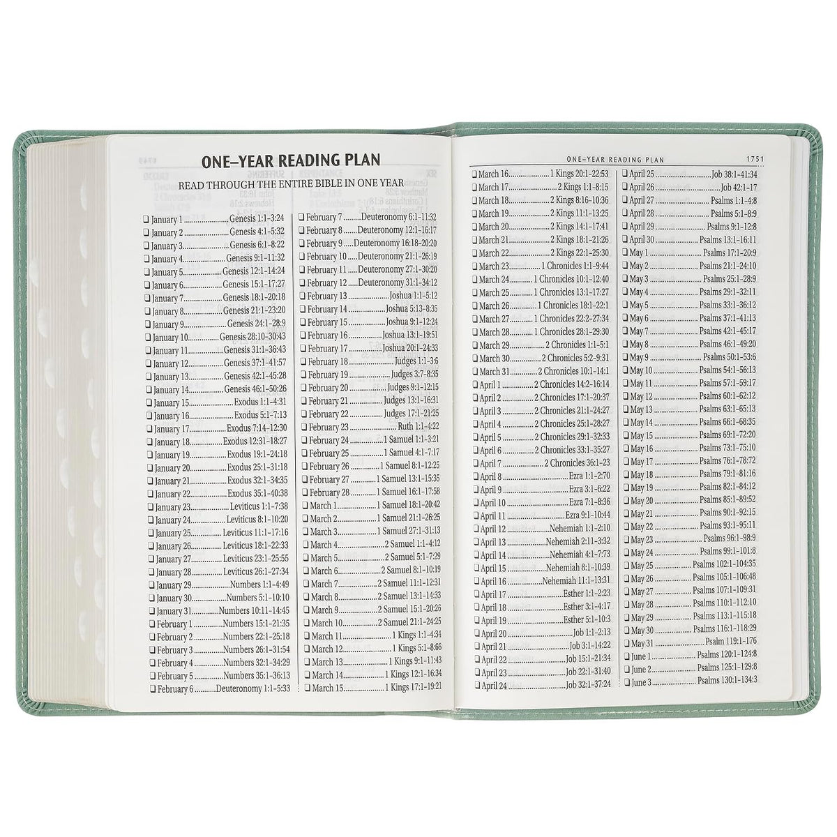 KJV Holy Bible, Giant Print Standard Size Red Letter Edition, Thumb Index Tabs & Ribbon Marker, King James Version, Vegan Leather, Teal, 14 pt. Type