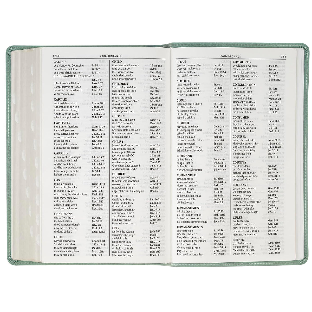KJV Holy Bible, Giant Print Standard Size Red Letter Edition, Thumb Index Tabs & Ribbon Marker, King James Version, Vegan Leather, Teal, 14 pt. Type