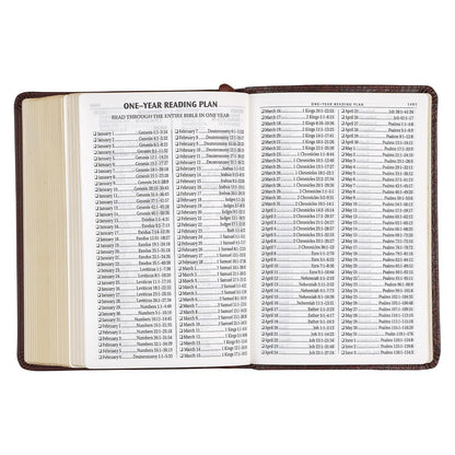KJV Holy Bible, Compact Large Print Faux Leather Red Letter Edition - Ribbon Marker, King James Version, Medium Brown (KJV Compact LP Editions)