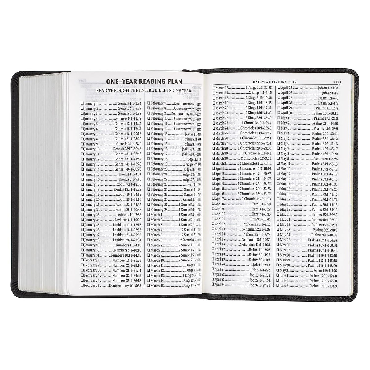 KJV Holy Bible, Compact Large Print Faux Leather Red Letter Edition - Ribbon Marker, King James Version, Black (KJV Compact LP Editions)