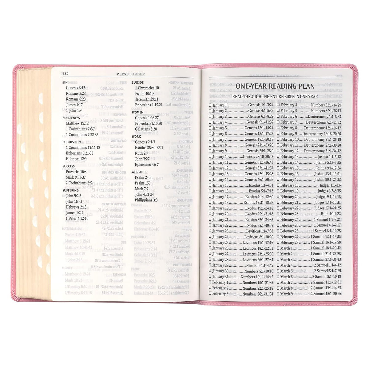KJV Holy Bible, Giant Print Full-size Faux Leather Red Letter Edition - Thumb Index & Ribbon Marker, King James Version, Pink (KJV Full Size GP Editions)