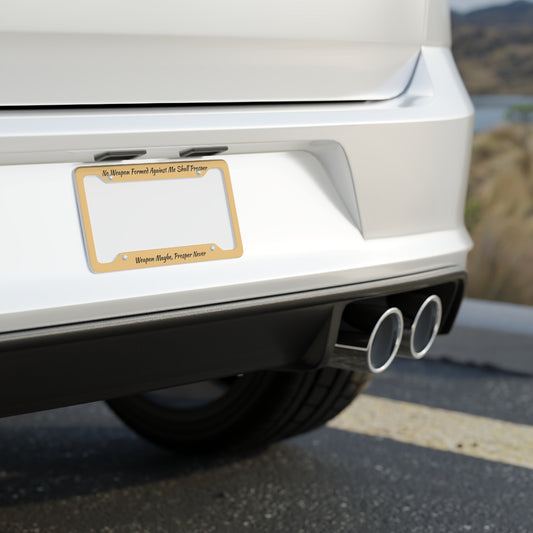 License Plate Frame —  Car Plate Frame