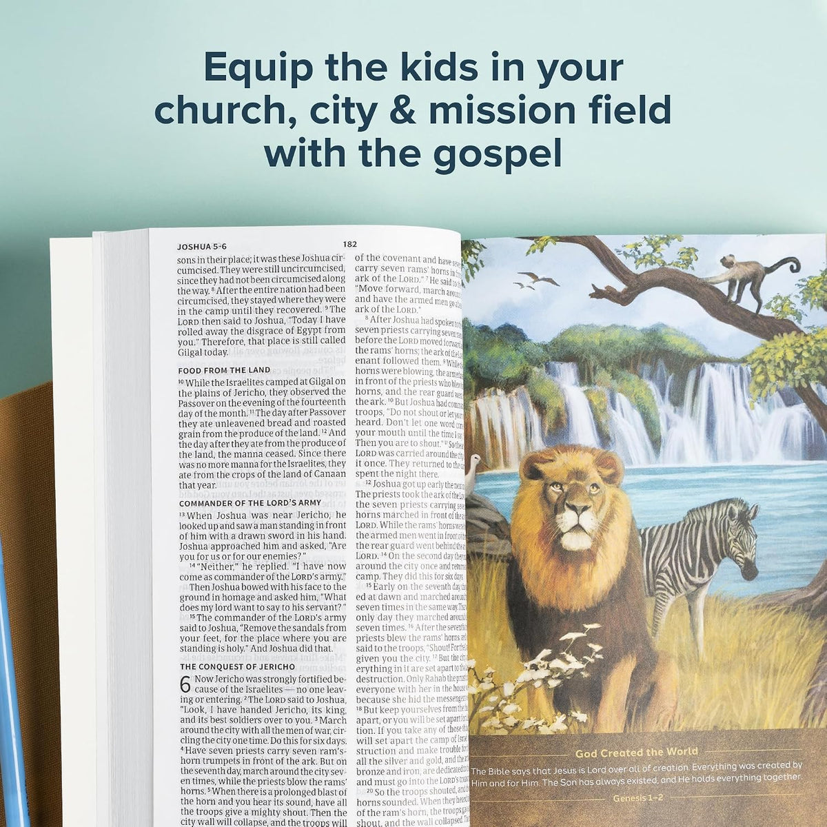 CSB Holy Bible for Kids, Large Print, Economy Edition, Black Letter, Presentation Page, Kid-friendly Gospel Presentation, Full-Color Inserts, Christ Connections, Easy-to-Read Bible Serif Type